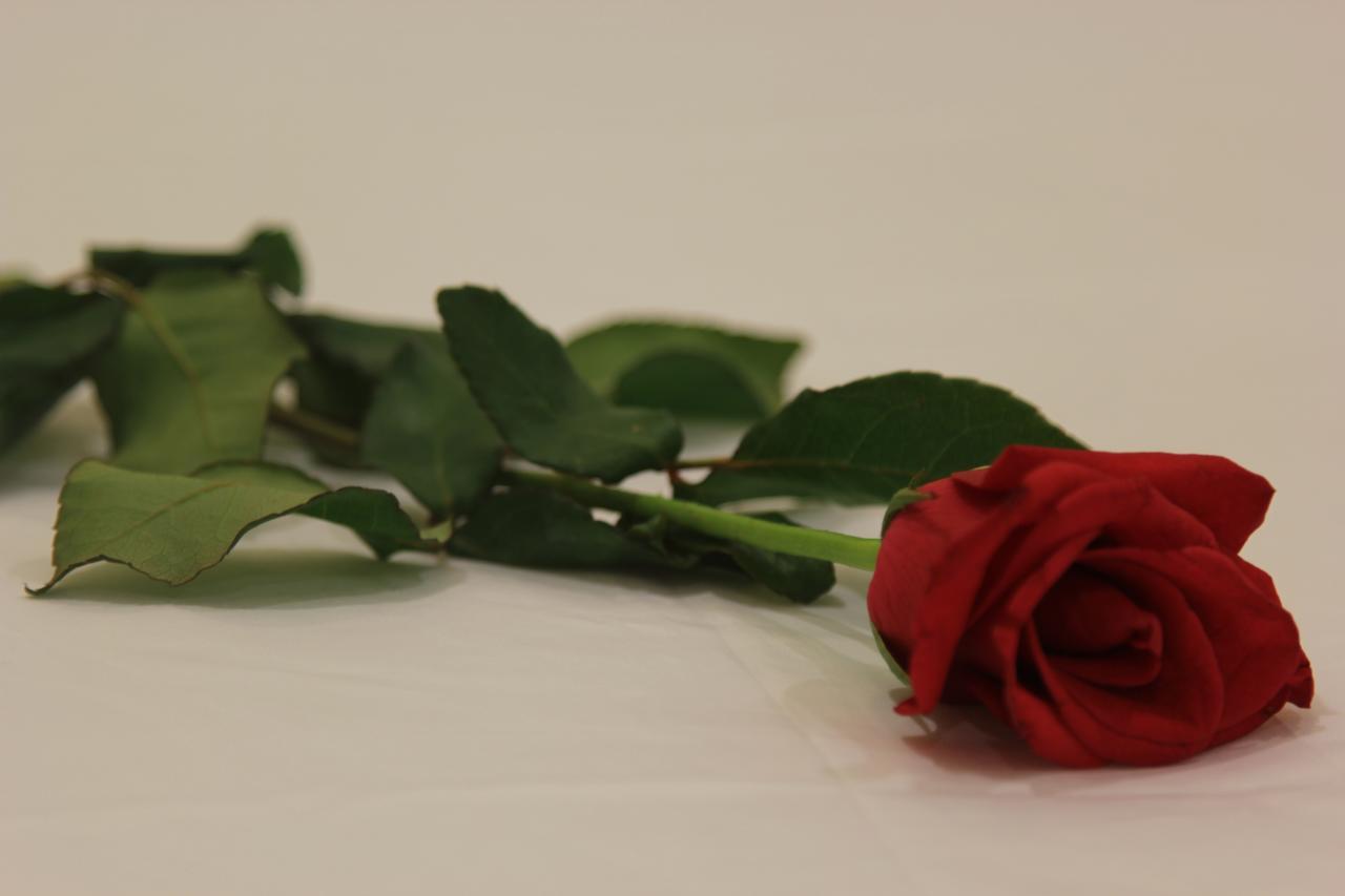 פנום פן Yazhou Foryou Hotel מראה חיצוני תמונה